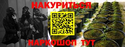 шишки Краснодар