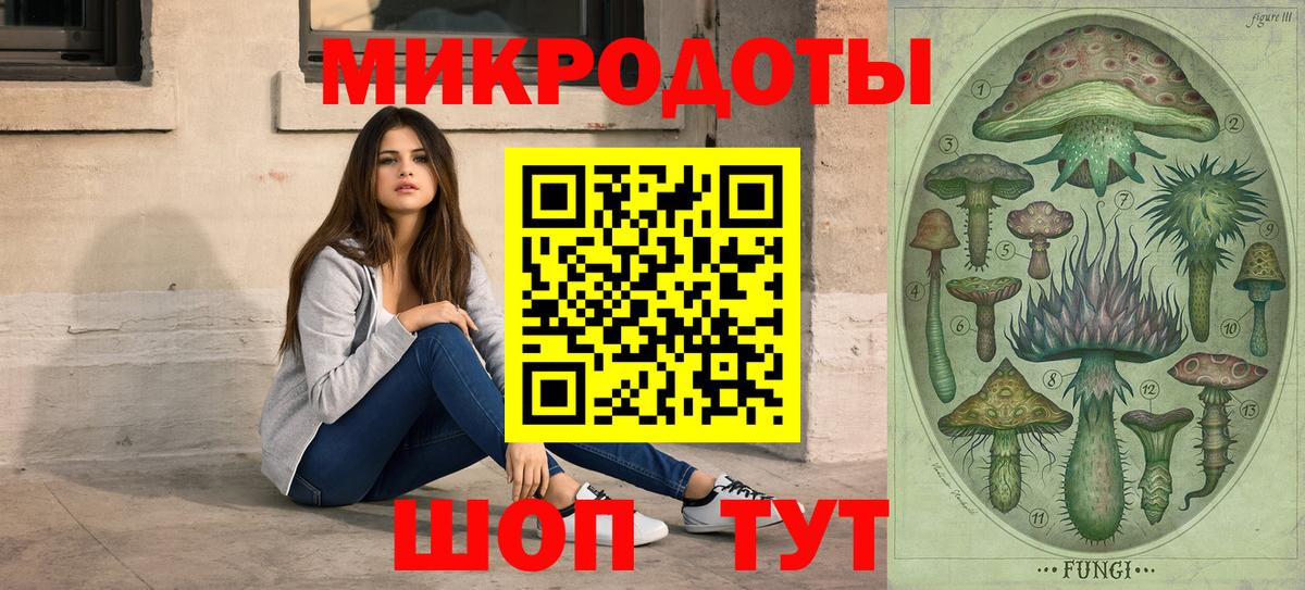 Галлюциногенные грибы Psilocybine cubensis  Вход с VPN  Карачаевск 