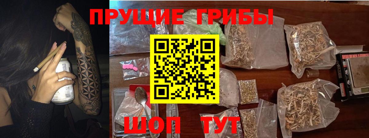 Псилоцибиновые грибы мухоморы Карачаевск